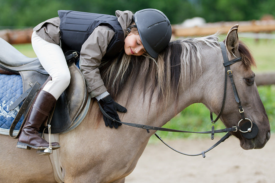 Our Guide to Horse Safety