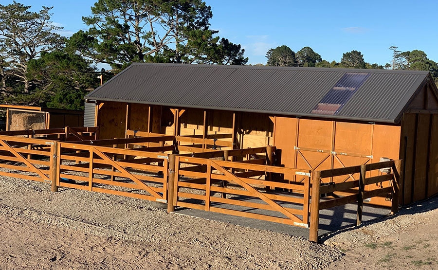 Case Study: Aimee's Horse Stable