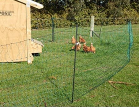 Poultry Net Fence - Outpost Buildings