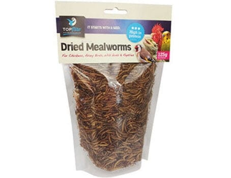 Dried Meal Worms - Outpost Buildings