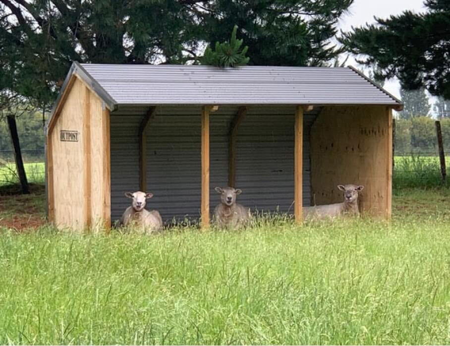 Lifestyle Livestock Shelter 3.6m - Outpost Buildings