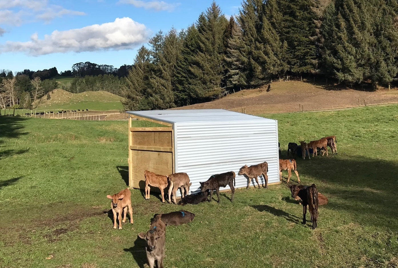 Louette & Jared's multi-purpose calving shelter