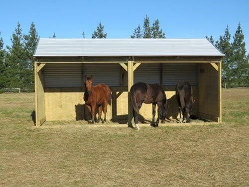 Anna Laxton Homestead Horse Shelter