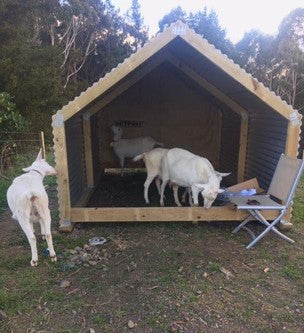 Christine Tierney Borderland Goat Shelter