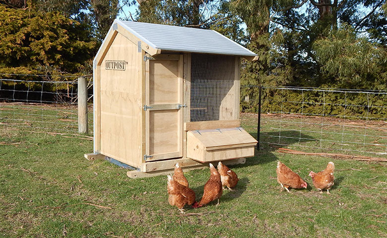 How to Build a Chicken Coop