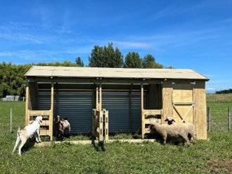 Emma Livestock Shelter with Shed