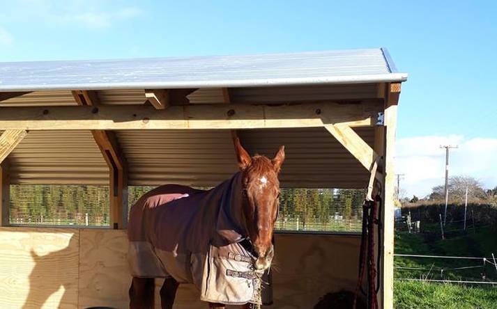 Can you build your own horse stable and how much does it cost?