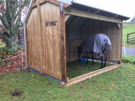 Jill's Small Horse Shelter