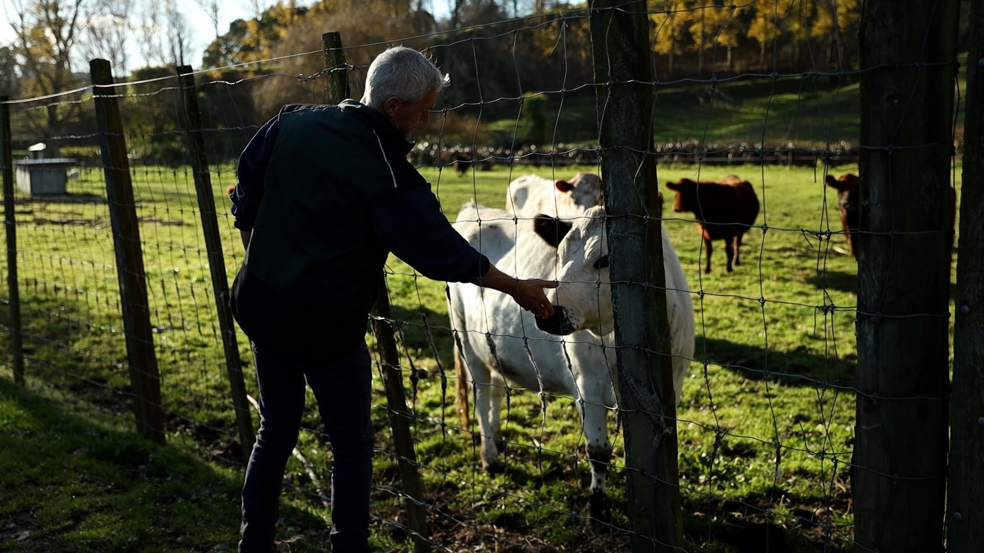 Leading Alpaca breeder Keenan Scott