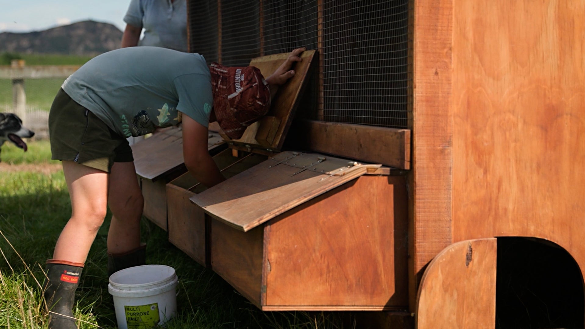 Kiwi Country Kids sustainable farming