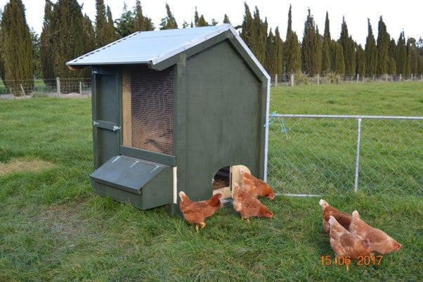 Myra and Sandy 1 Bay Chicken Coop