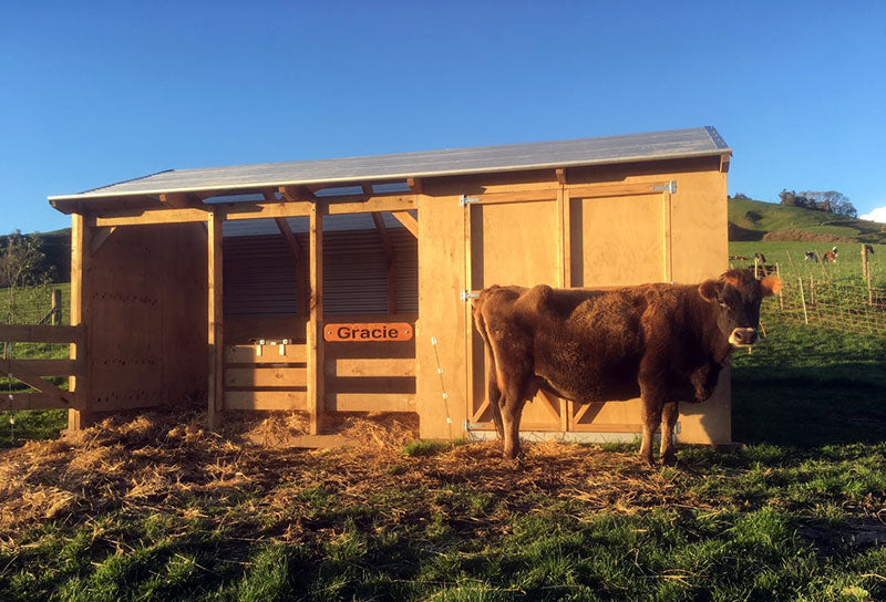 My Outpost Cow Shed and Wood Shed