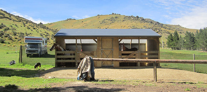 Product Feature: Horse stable with two stalls and a tackshed