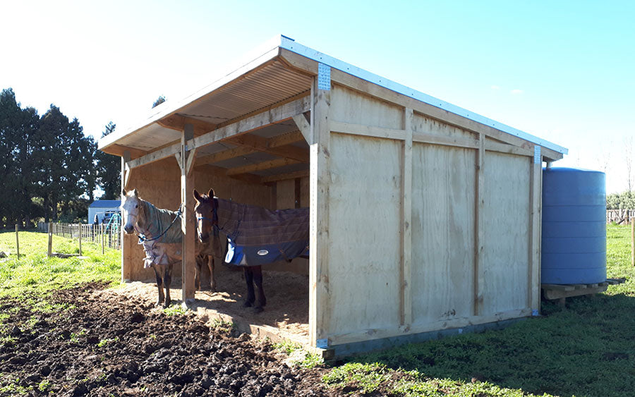 What size Paddock Shelter is best for my Horses?