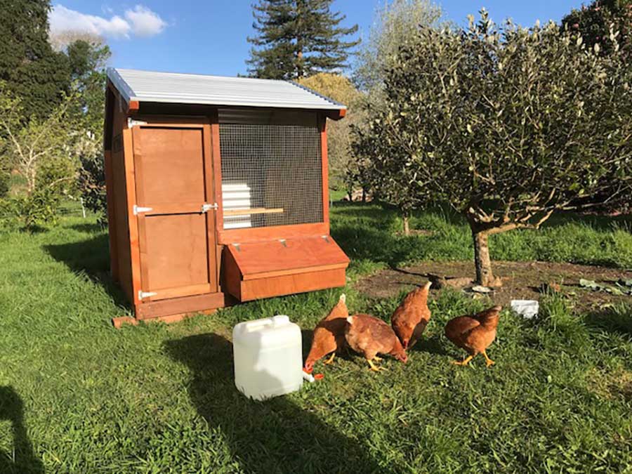 Relocatable Chicken Coops