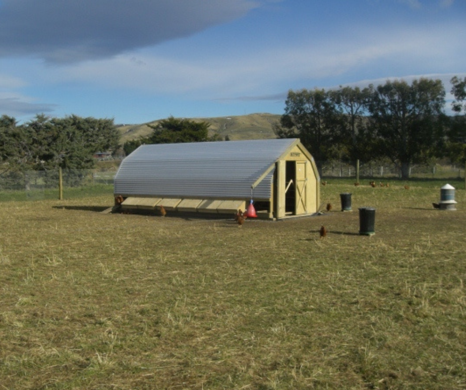 16 Bay Chicken Coop