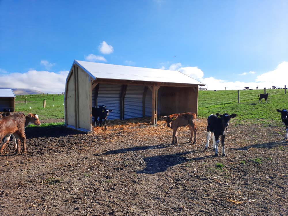 Upland Side Open Shelter 5.8m
