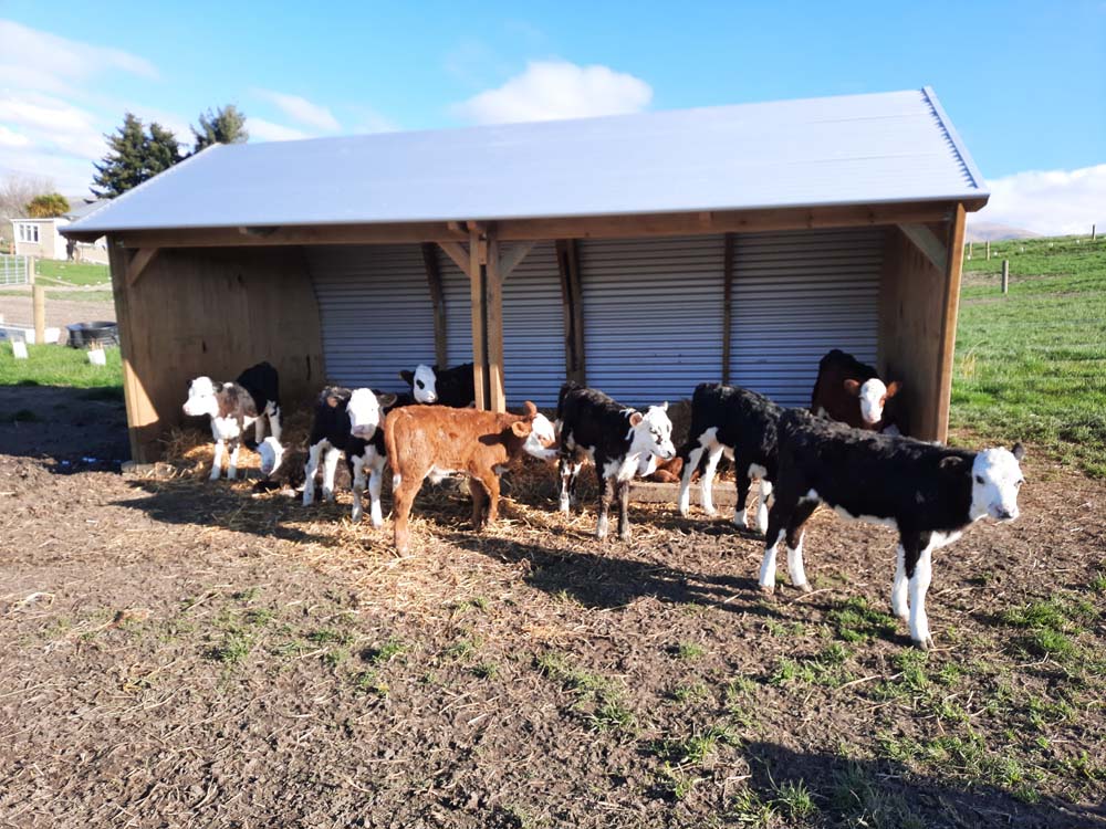 Upland Side Open Shelter 5.8m