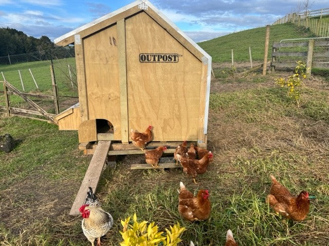 2 Bay Chicken Coop
