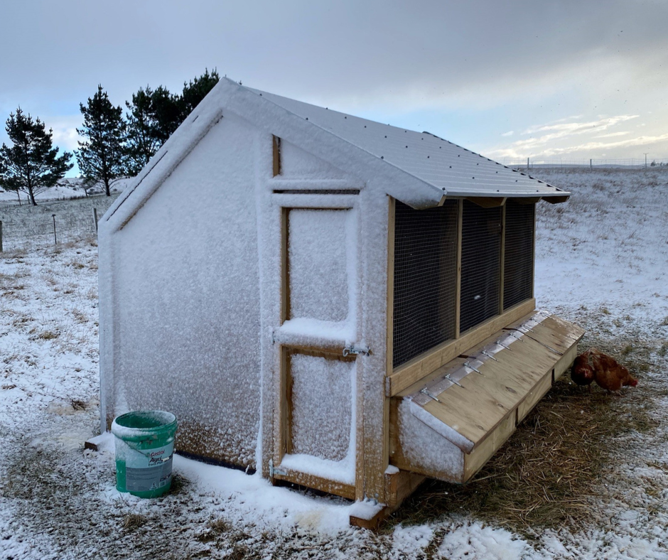 3 Bay Chicken Coop