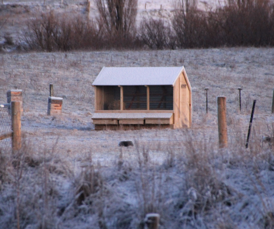 3 Bay Chicken Coop
