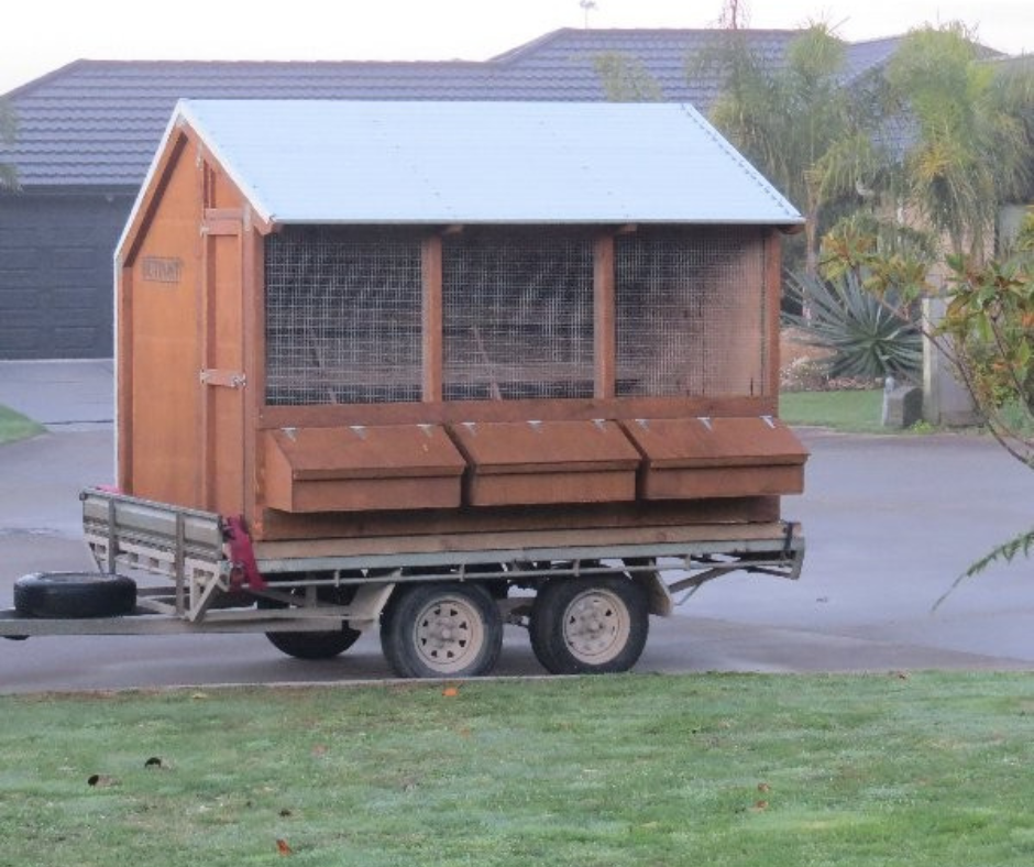 3 Bay Chicken Coop
