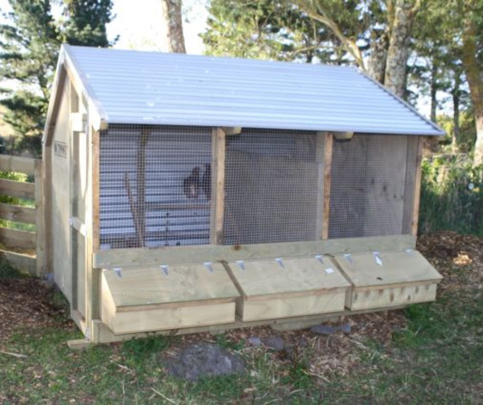 3 Bay Chicken Coop