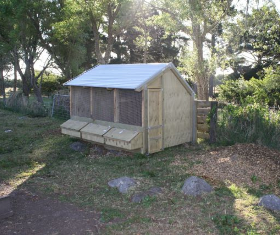 3 Bay Chicken Coop