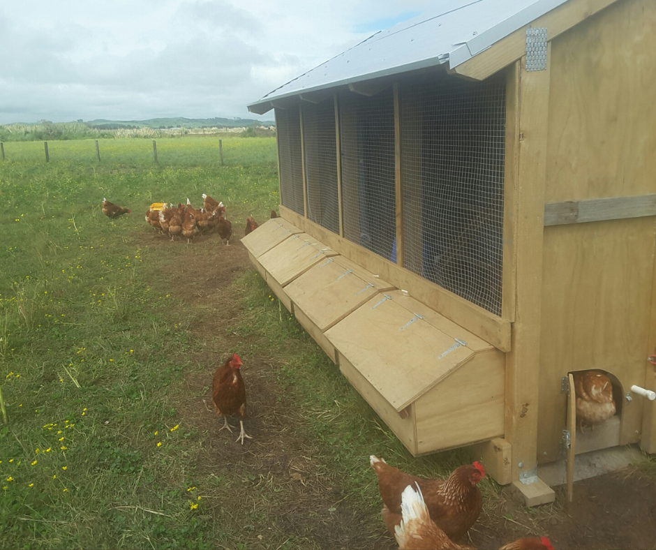 4 Bay Chicken Coop