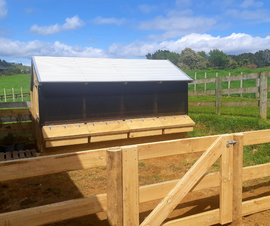4 Bay Chicken Coop