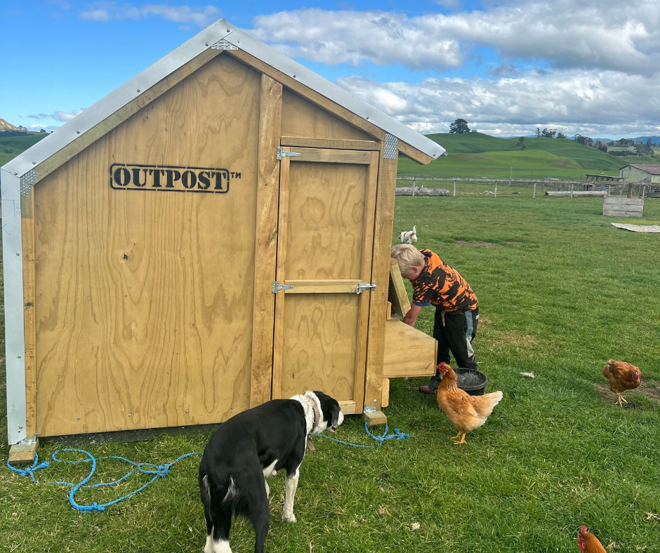 4 Bay Chicken Coop