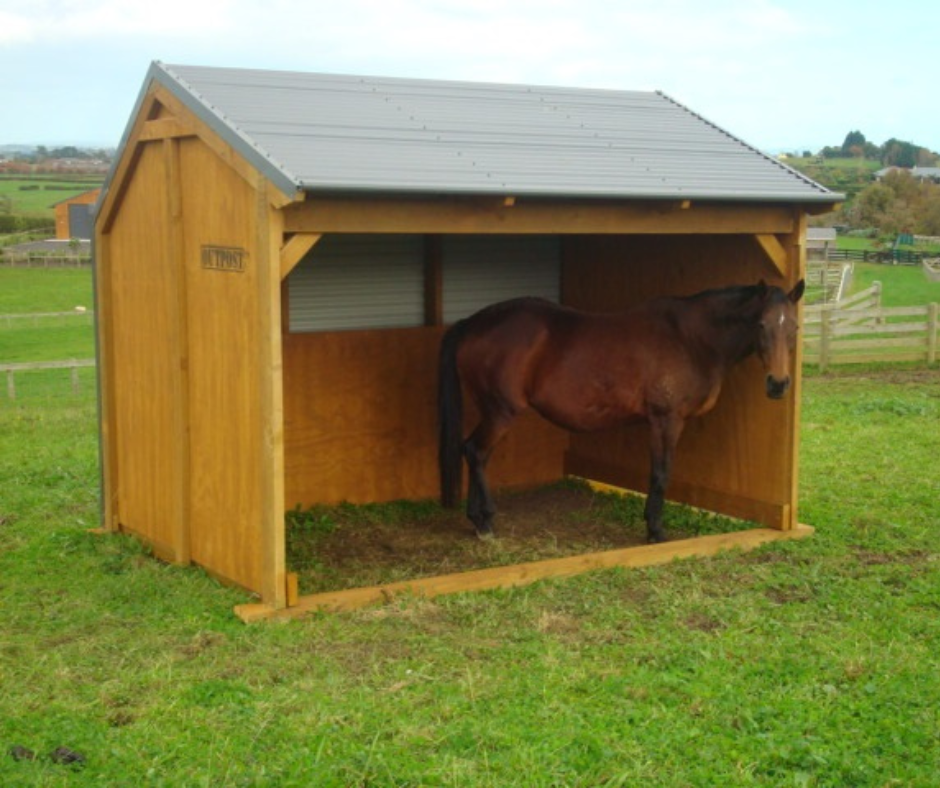 Small Horse Shelter