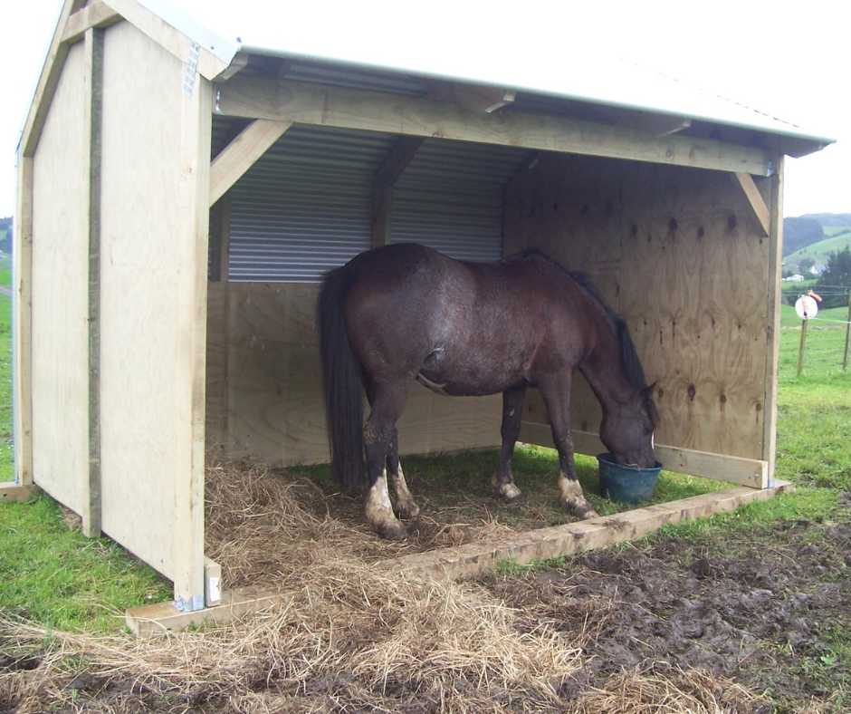 Small Horse Shelter