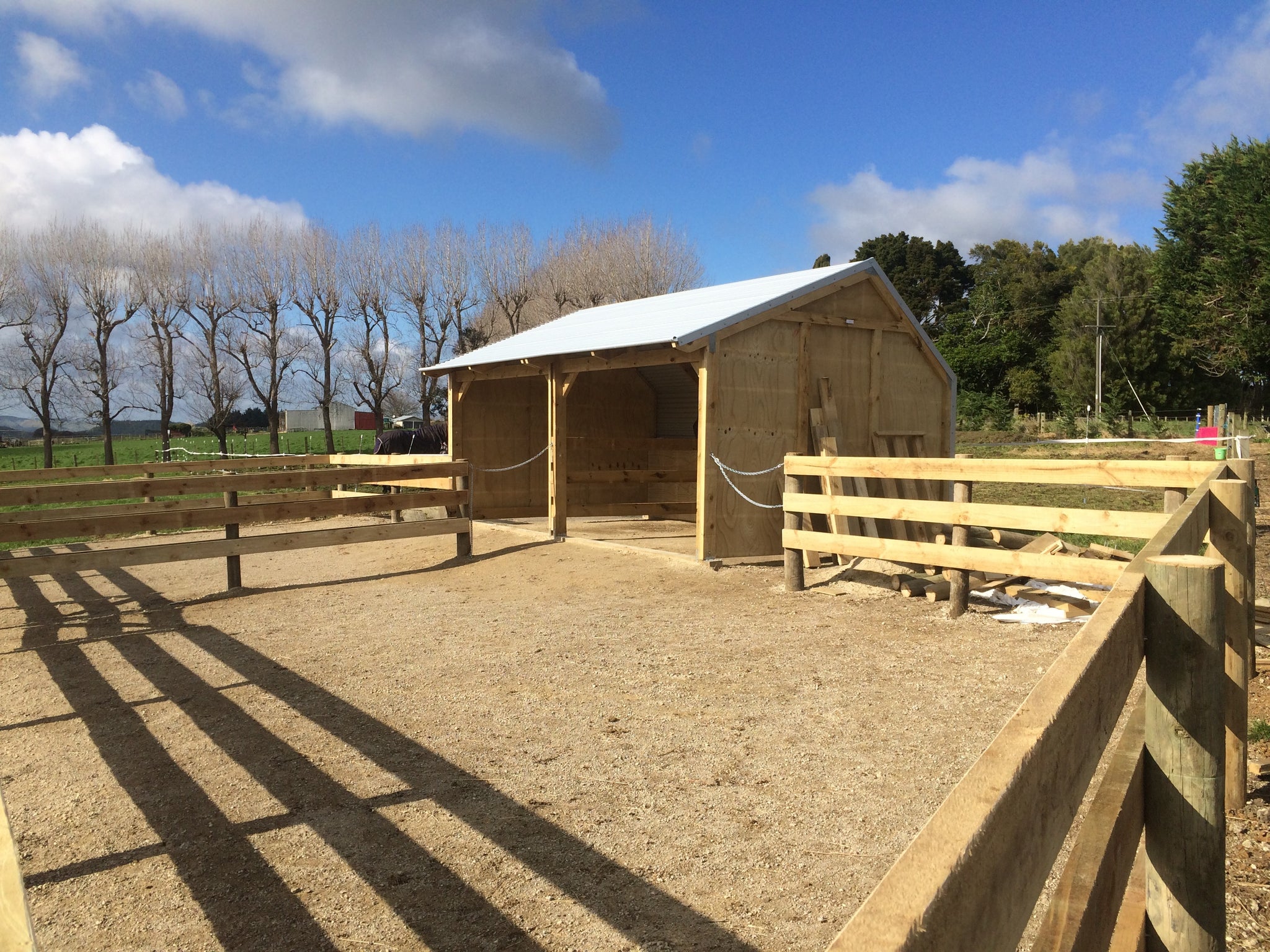 Homestead Large Paddock Shelter