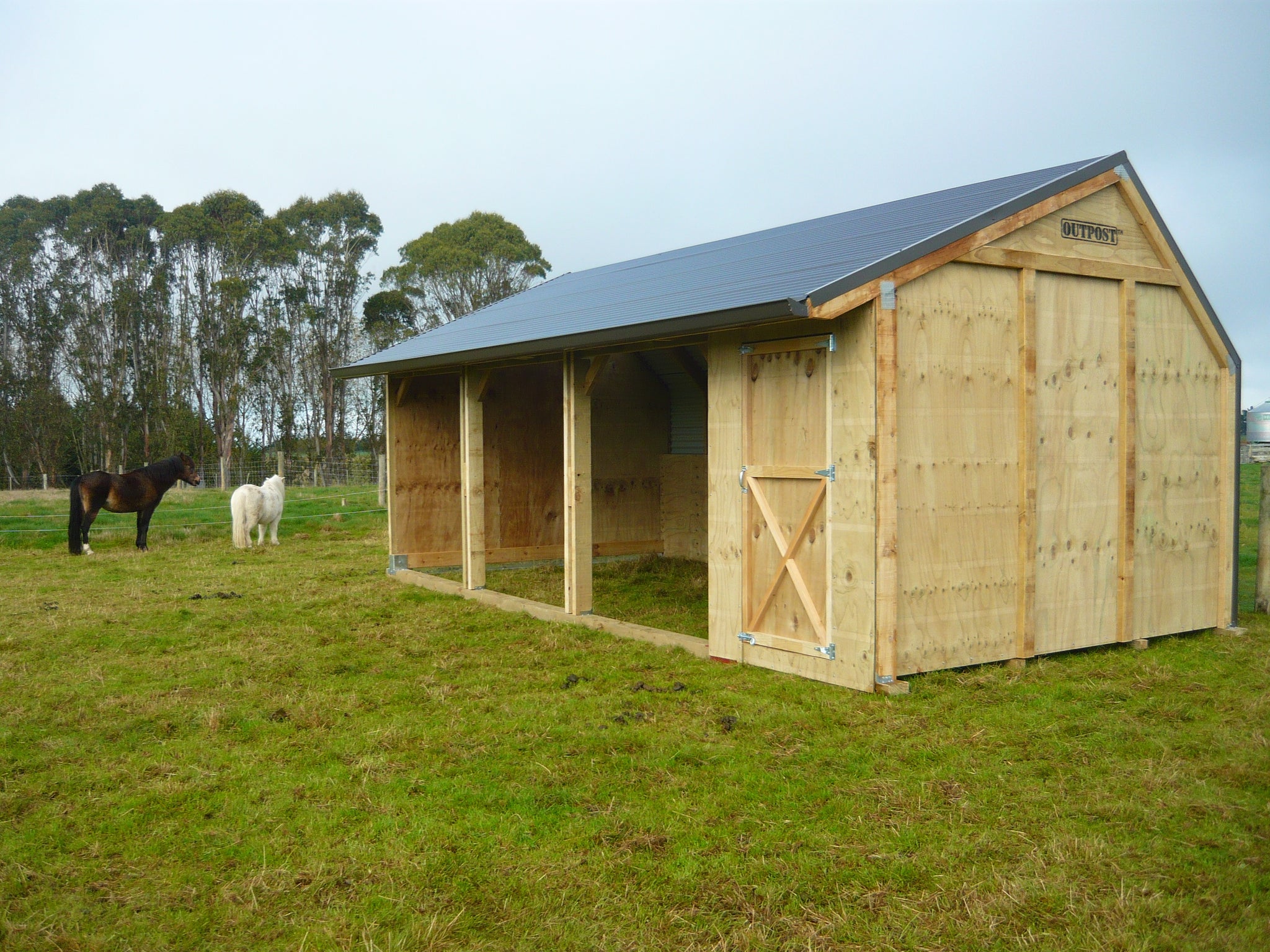 Horse Shelter with single tack shed