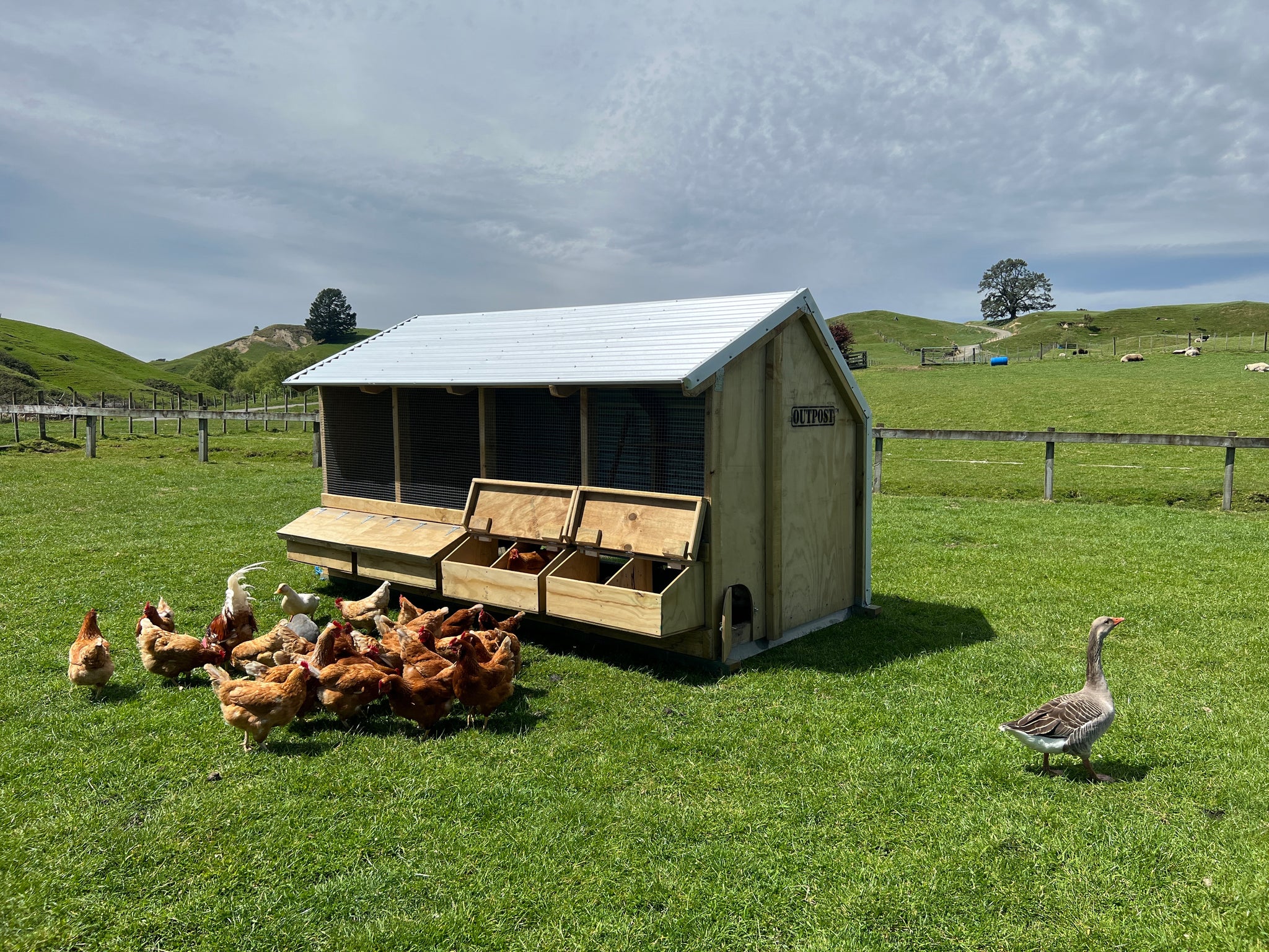 4 Bay Chicken Coop