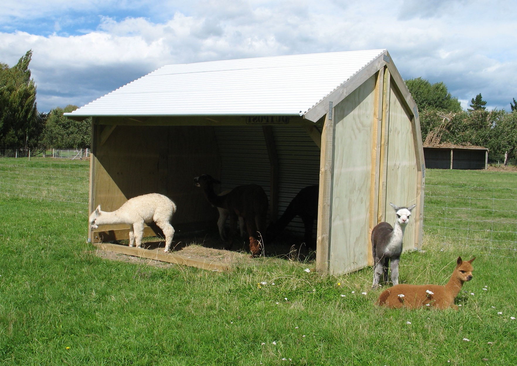 Upland Side Open Shelter 3.6m