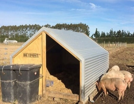 Sty Farm Building Outpost Medium Pig Sty