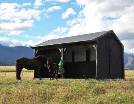 Homestead Horse Shelter - Outpost Buildings