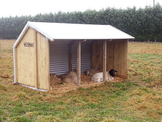 Lifestyle Livestock Shelter 3.6m - Outpost Buildings
